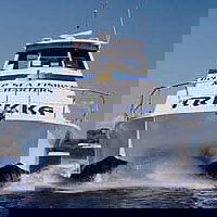 Sunshine Coast Fishing Charters - Accommodation Sunshine Coast 0