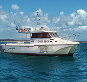 Sunshine Coast Fishing Charters - Accommodation Sunshine Coast 1
