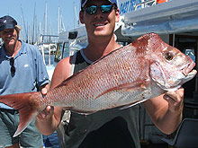 Sunshine Coast Fishing Charters - Accommodation Sunshine Coast 2