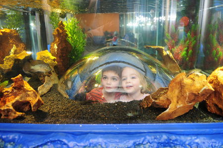 Scitech - Accommodation Sunshine Coast 3