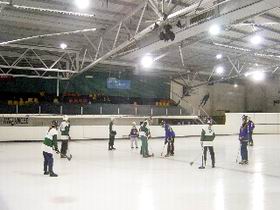 The Ice Arena - Accommodation Sunshine Coast 2