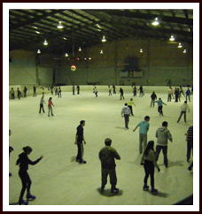 Bendigo Ice Stadium - Accommodation Sunshine Coast 1