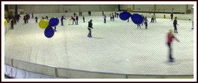 Bendigo Ice Stadium - Accommodation Sunshine Coast 2