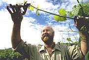 Barossa Experience Tours - Accommodation Sunshine Coast 0