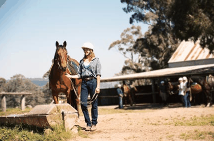 Watsons Trail Rides - Accommodation Sunshine Coast 0