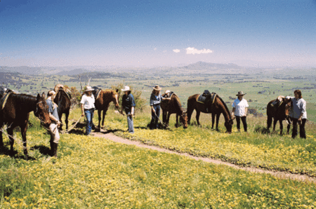 Watsons Trail Rides - Accommodation Sunshine Coast 1
