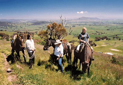 Watsons Trail Rides - Accommodation Sunshine Coast 2