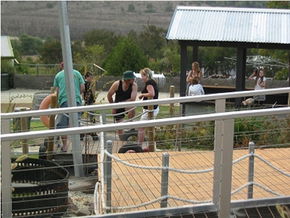  Accommodation Sunshine Coast