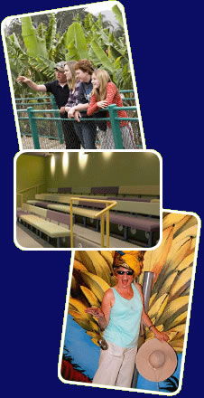 Big Banana - Accommodation Sunshine Coast 2