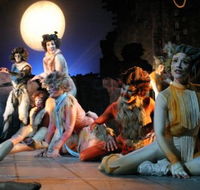 Harvest Rain Theatre Company - Accommodation Sunshine Coast