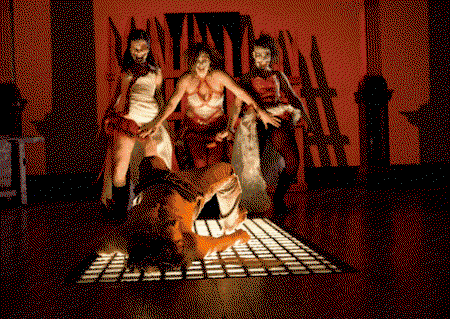 Zen Zen Zo Physical Theatre - Accommodation Sunshine Coast 1