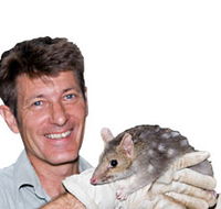 Geckoes Wildlife Presentations - Accommodation Sunshine Coast