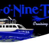 Cat O' NineTails - Accommodation Sunshine Coast
