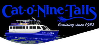 Cat O' NineTails - Accommodation Sunshine Coast 0