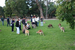 Caversham Wildlife Park - Accommodation Sunshine Coast 2