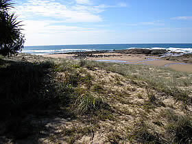 Deepwater National Park - Accommodation Sunshine Coast 0