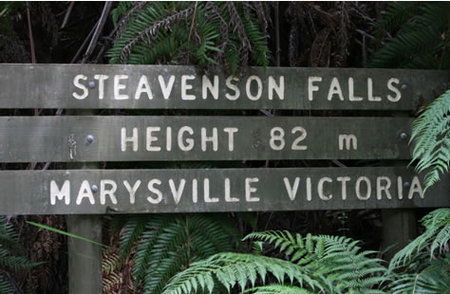 Stevensons Falls - Accommodation Sunshine Coast 0