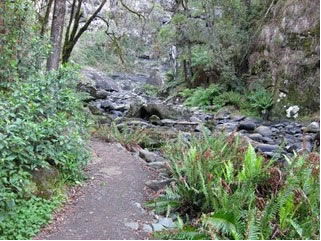 Stevensons Falls - Accommodation Sunshine Coast 1