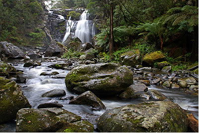 Stevensons Falls - Accommodation Sunshine Coast 2