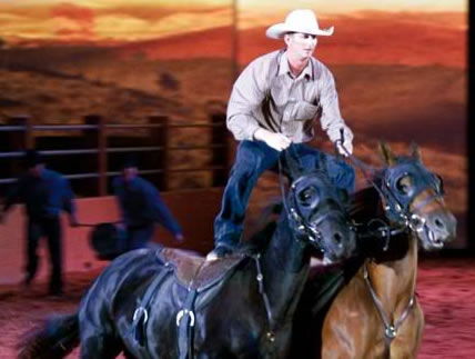 Australian Outback Spectacular - Accommodation Sunshine Coast 1