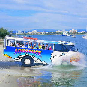 Aquaduck - Accommodation Sunshine Coast 1