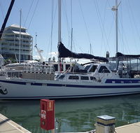 Coral Sea Dreaming Dive and Sail - Accommodation Sunshine Coast