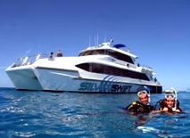 Silver Swift - Accommodation Sunshine Coast 0