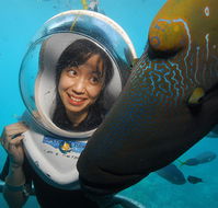 Sunlover Reef Cruises - Accommodation Sunshine Coast