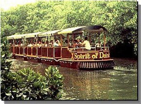 Daintree Rainforest River Trains - Accommodation Sunshine Coast 0
