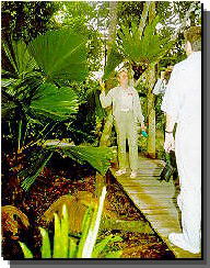 Daintree Rainforest River Trains - Accommodation Sunshine Coast 1
