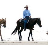 Ride the Beach - Accommodation Sunshine Coast