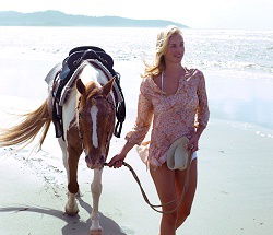 Ride The Beach - Accommodation Sunshine Coast 3