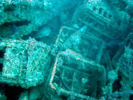 Underwater Sports Diving Centre - Accommodation Sunshine Coast 0