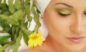 Indica Spa - Accommodation Sunshine Coast 1