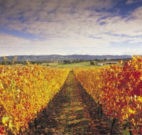 Link Tours - Accommodation Sunshine Coast