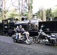 Andy's Harley Rides - Accommodation Sunshine Coast