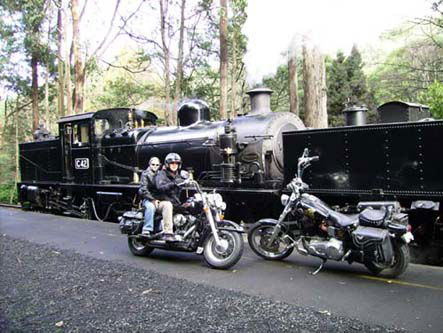 Andy's Harley Rides - Accommodation Sunshine Coast 0