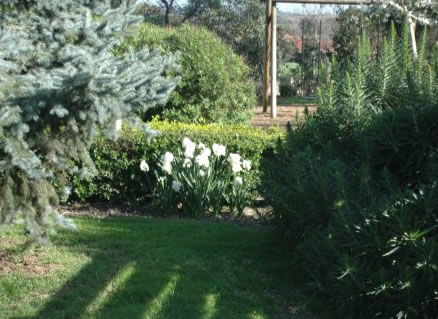 The Old Cheese Factory - Accommodation Sunshine Coast 2