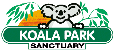 Koala Park Sanctuary - Accommodation Sunshine Coast
