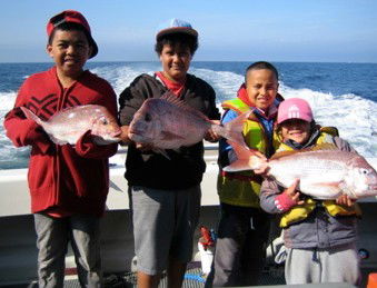 Melbourne Fishing Charters - Accommodation Sunshine Coast 3