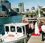 Bay  River Cruises - Accommodation Sunshine Coast