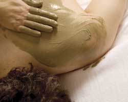 Alkaline Spa & Clinic - Accommodation Sunshine Coast 2