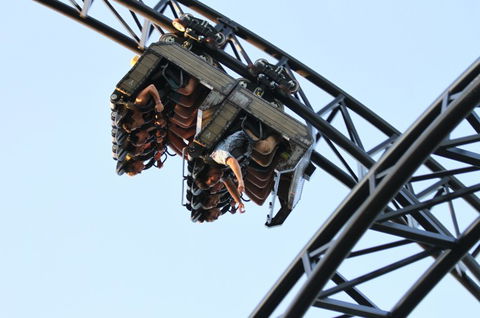 Adventure World - Accommodation Sunshine Coast 7