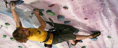 Urban Climb - Accommodation Sunshine Coast 0