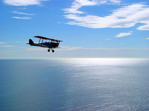 Tigermoth Joy Rides - Accommodation Sunshine Coast 2