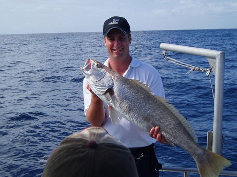Blue Juice Charters - Accommodation Sunshine Coast 1