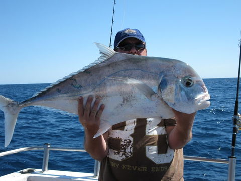 Blue Juice Charters - Accommodation Sunshine Coast 4