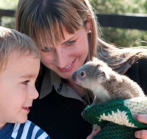 Australian Reptile Park - Accommodation Sunshine Coast 1