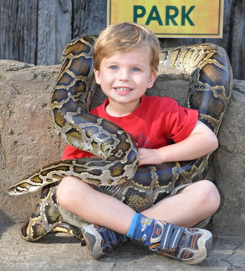 Australian Reptile Park - Accommodation Sunshine Coast 3