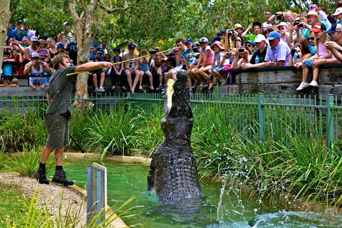 Australian Reptile Park - Accommodation Sunshine Coast 4